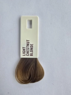 EVO -LIGHT CHESTNUT BLONDE colour maintenance conditioner 200ml