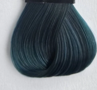 EVO -JADE colour maintenance conditioner 200ml